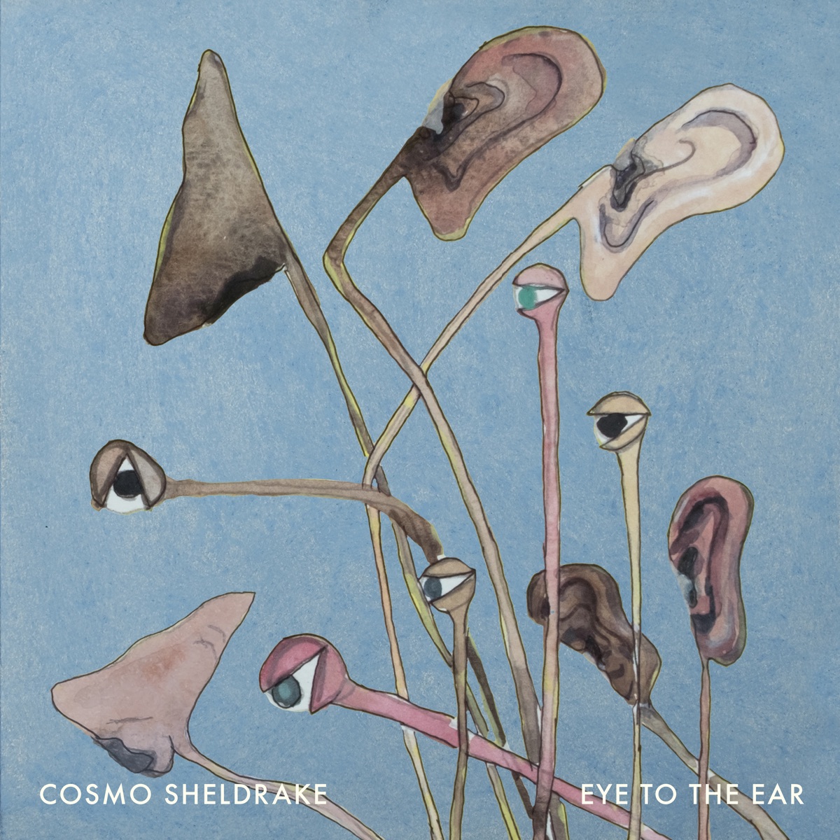 Eye to the Ear by Cosmo Sheldrake album cover