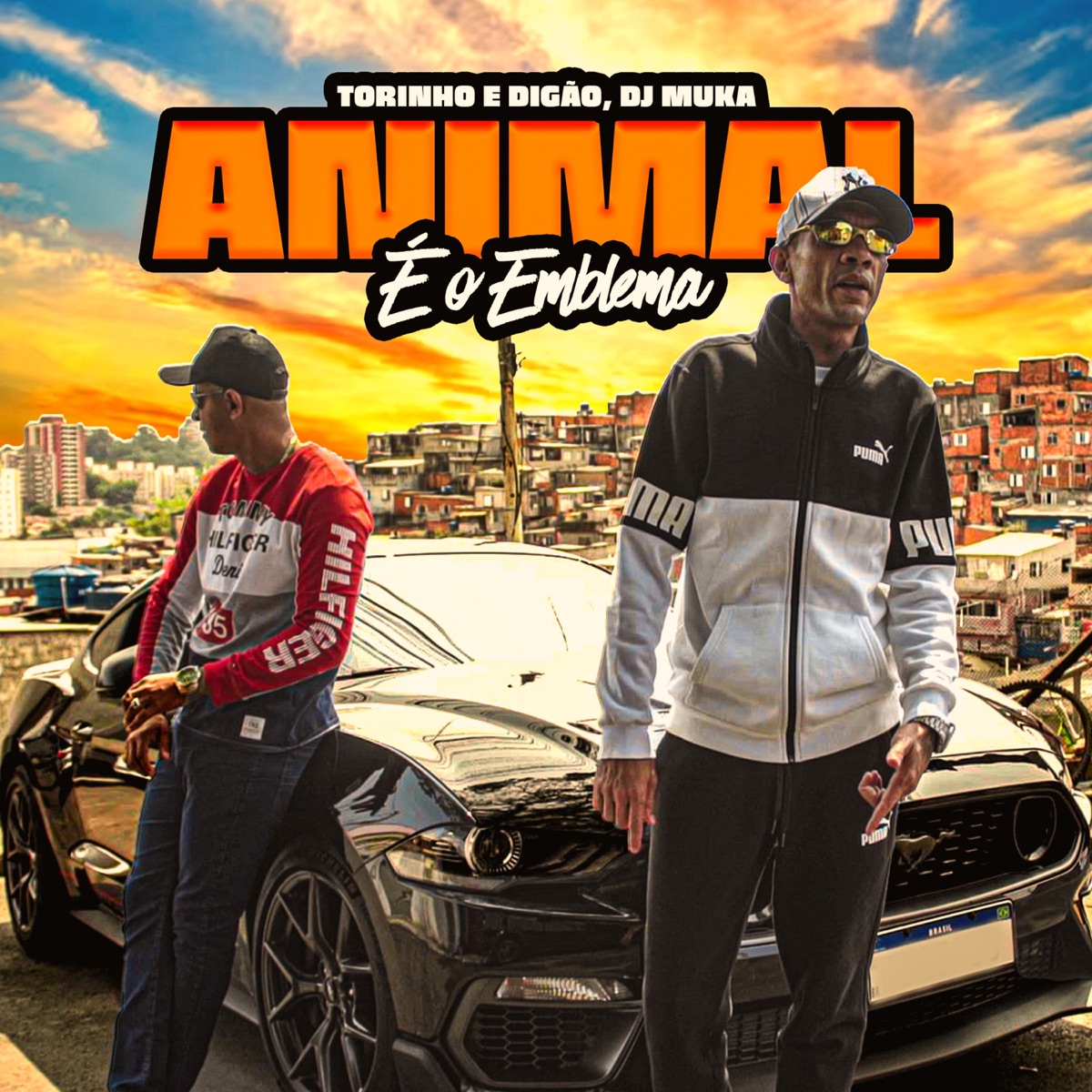 Animal É o Emblema - Single by Torinho & Digão album cover