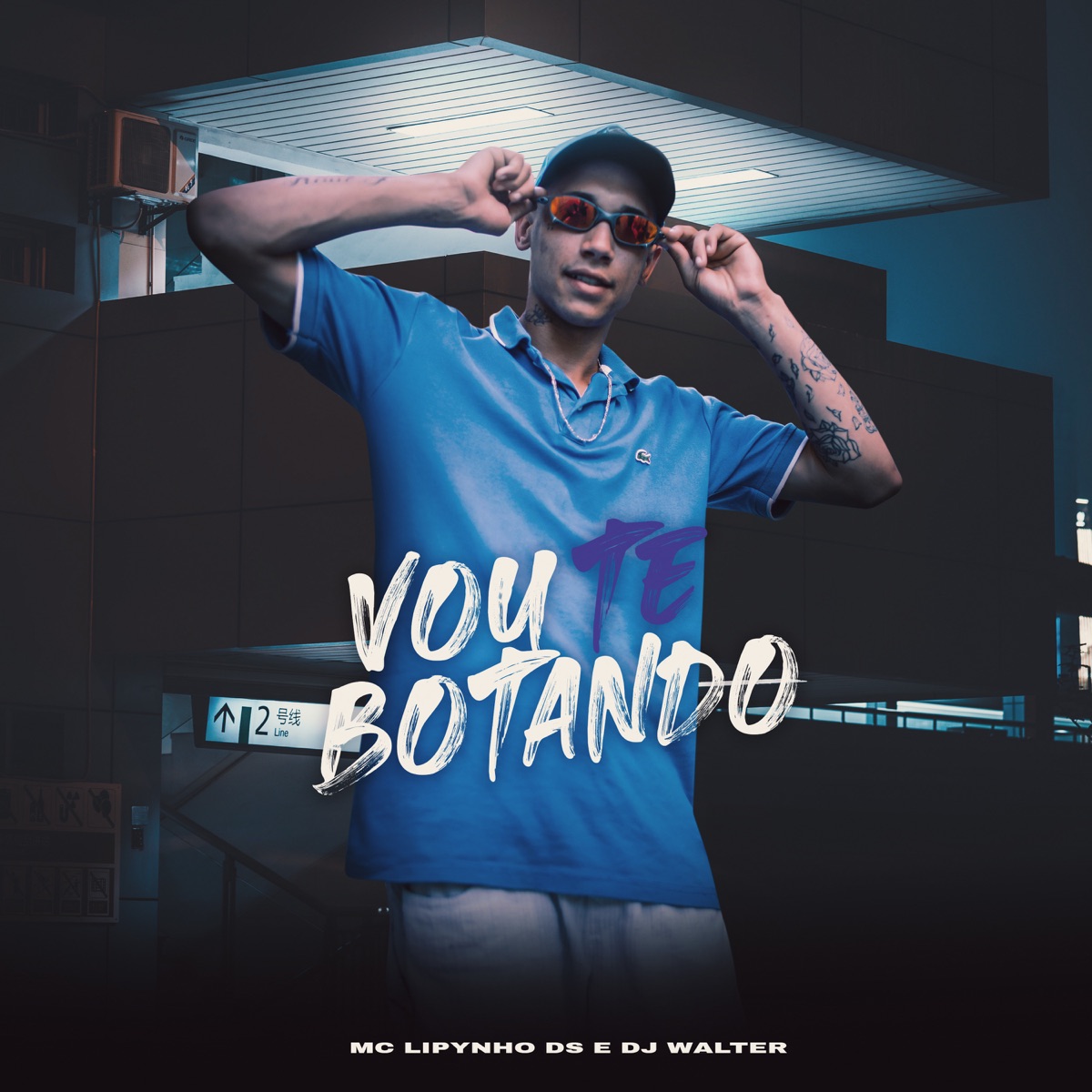 Vou Te Botando - Single by Mc lipynho Ds & DJ Walter album cover