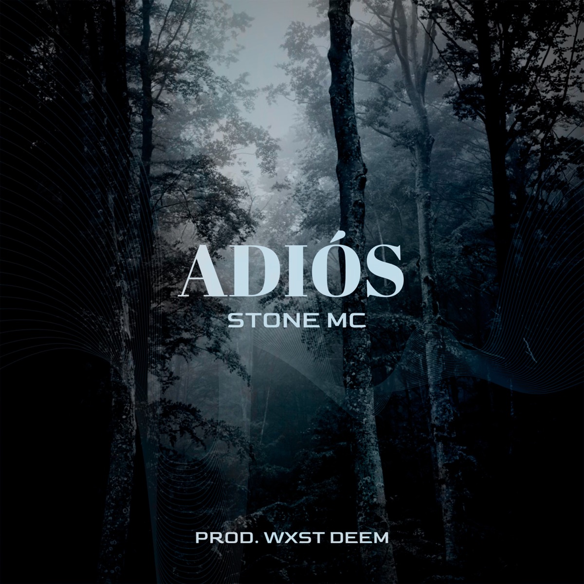 Adiós - Single by Stone Mc album cover