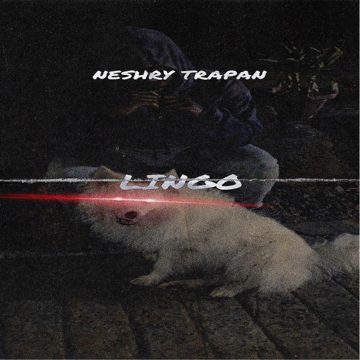 Lingo - Single by Neshry Trapan album cover