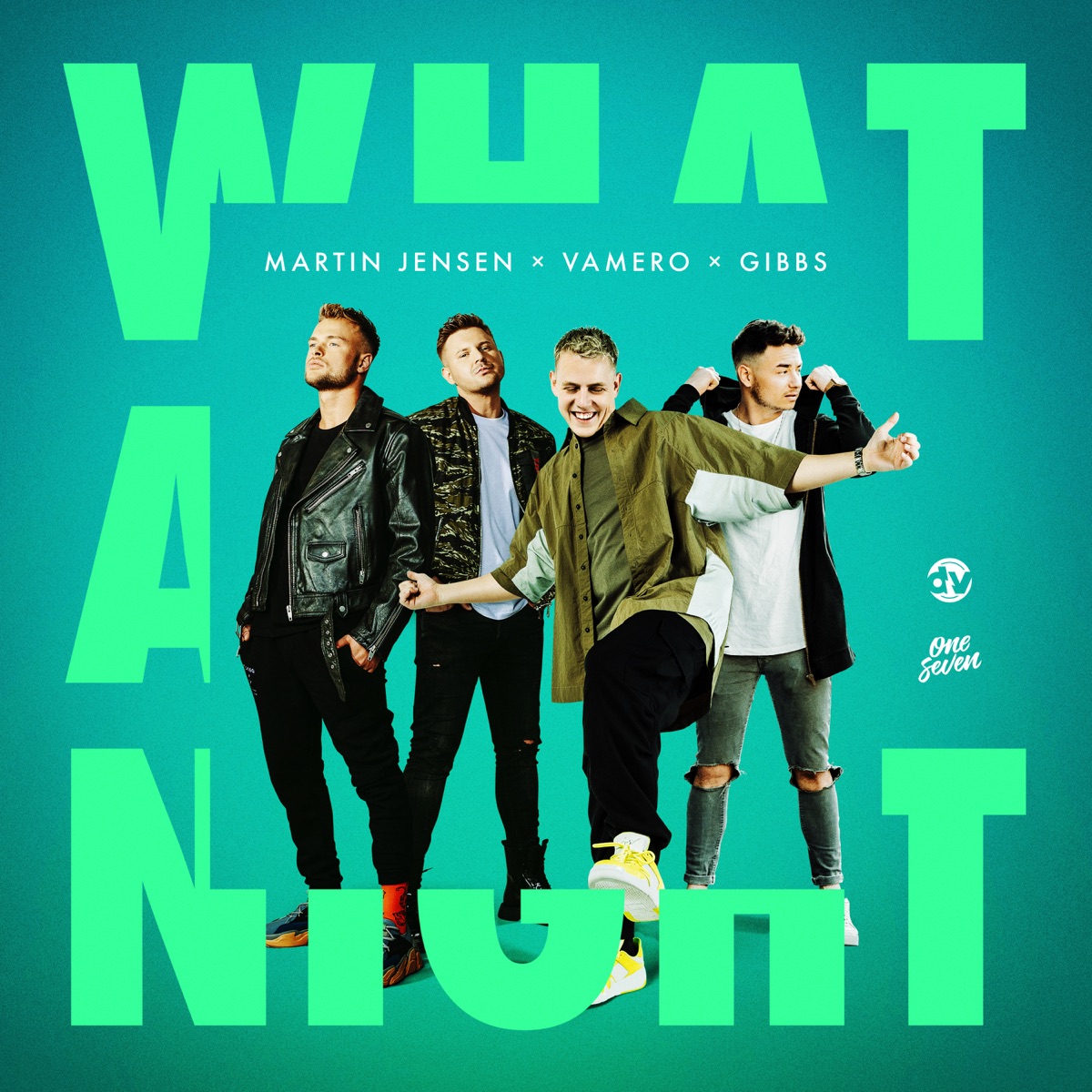 What a Night - Single by Martin Jensen, VAMERO & Gibbs album cover