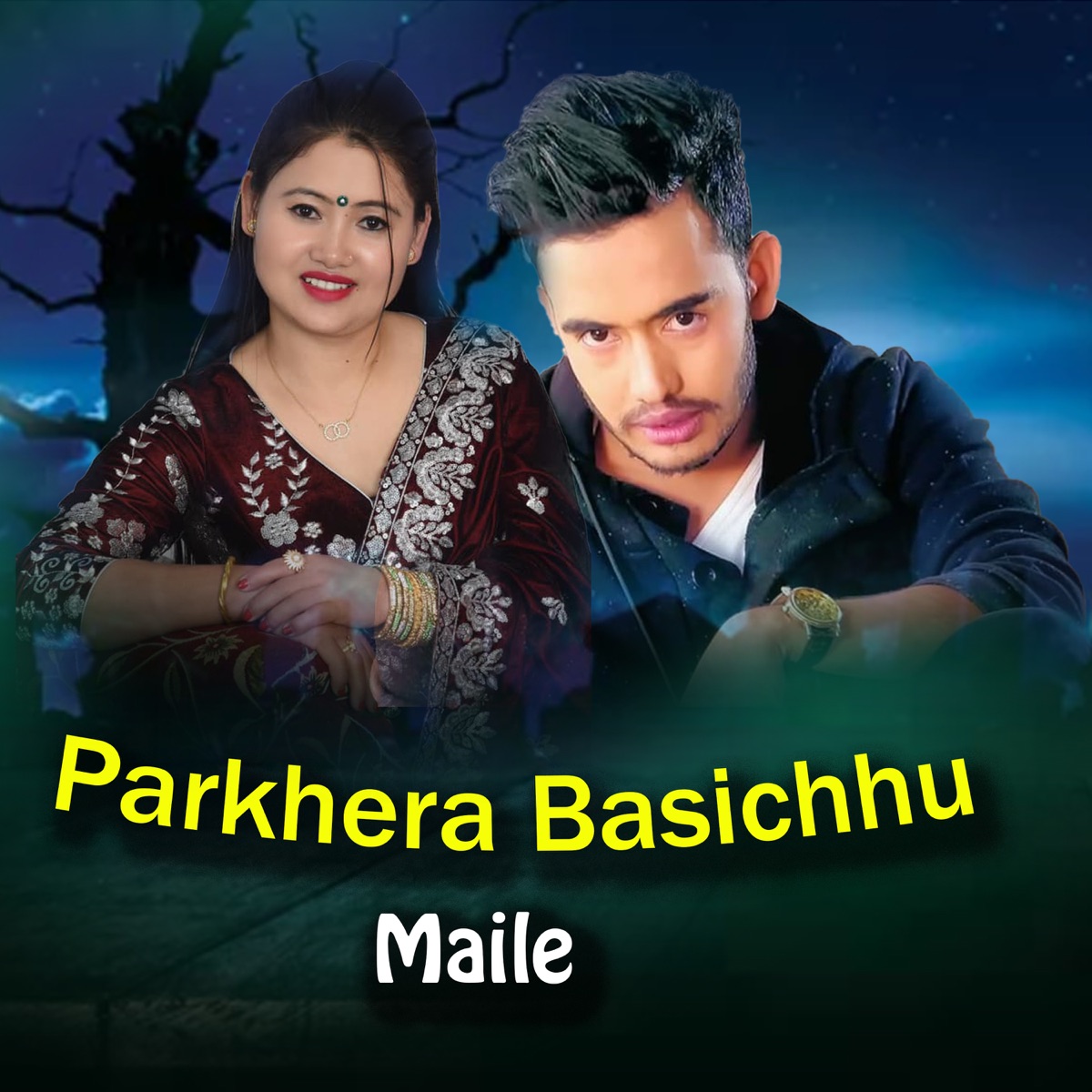 Parkhera Basichhu Maile - Single by Jaya Devkota & Mina Lama album cover