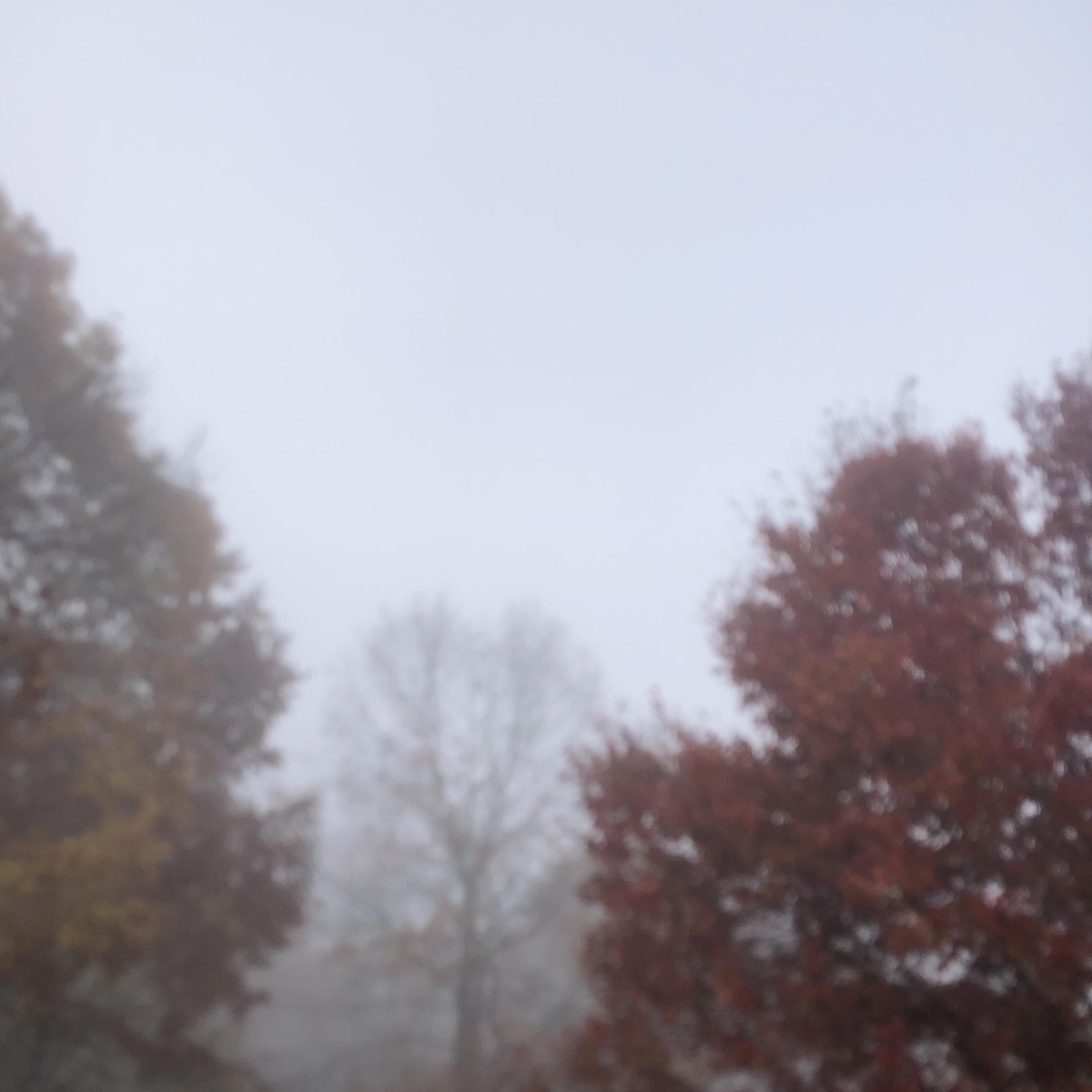 Duality (feat. 1Fern) - Single by Casperrr album cover