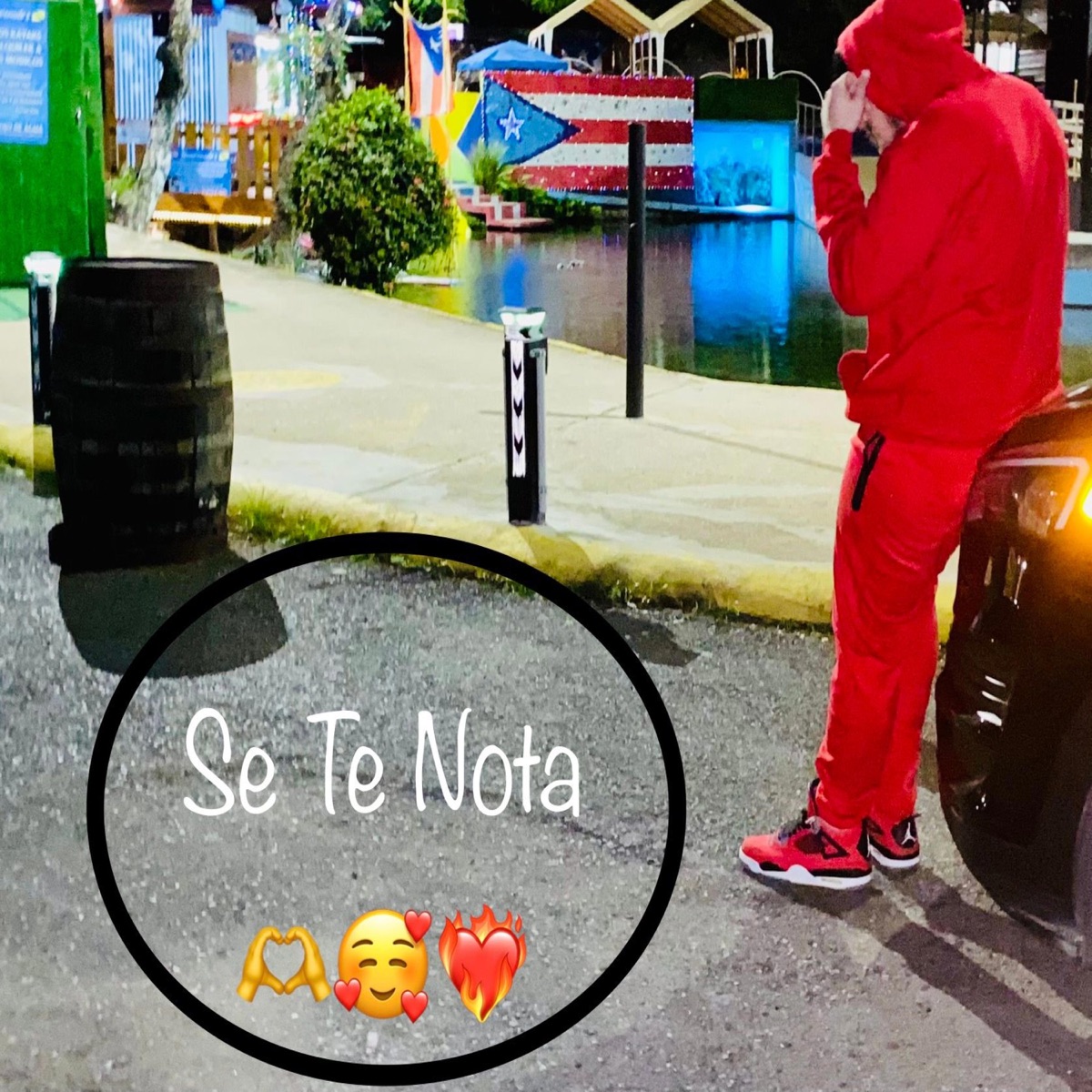 Se Te Nota (Radio Edit) - Single by Bebo El Tio album cover
