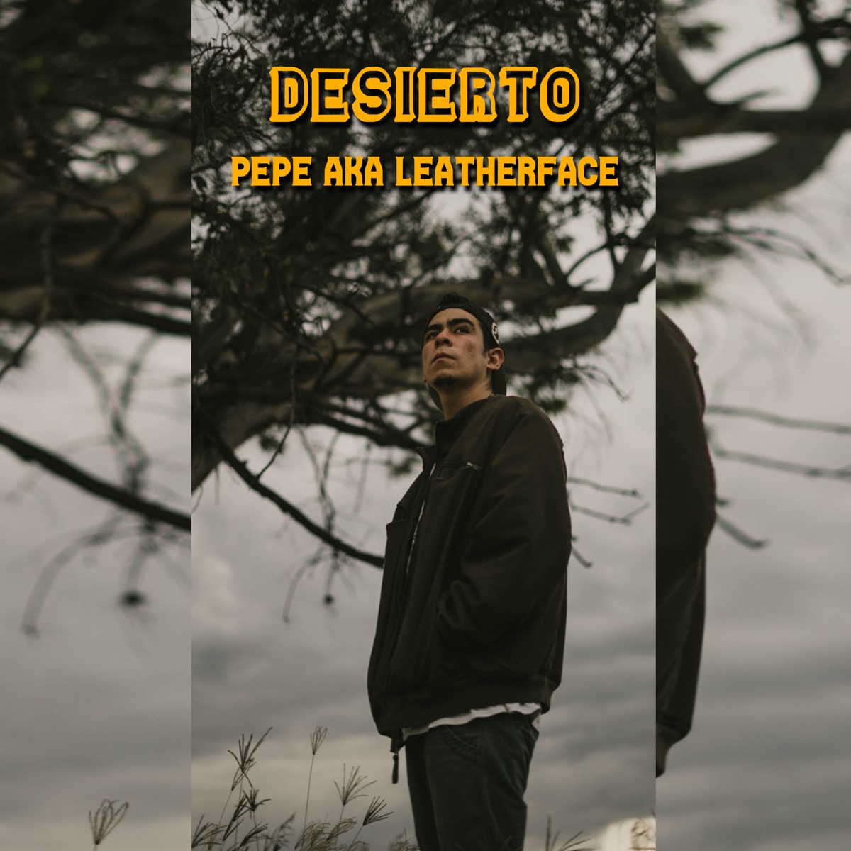 Desierto - Single by Pepe A.k.a Leatherface album cover