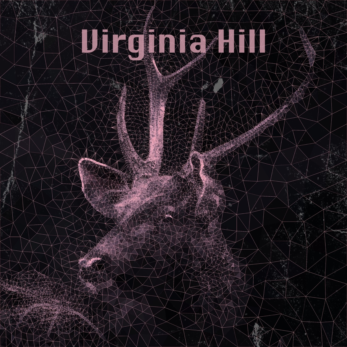 Virginia Hill - Single by Dave Hill album cover