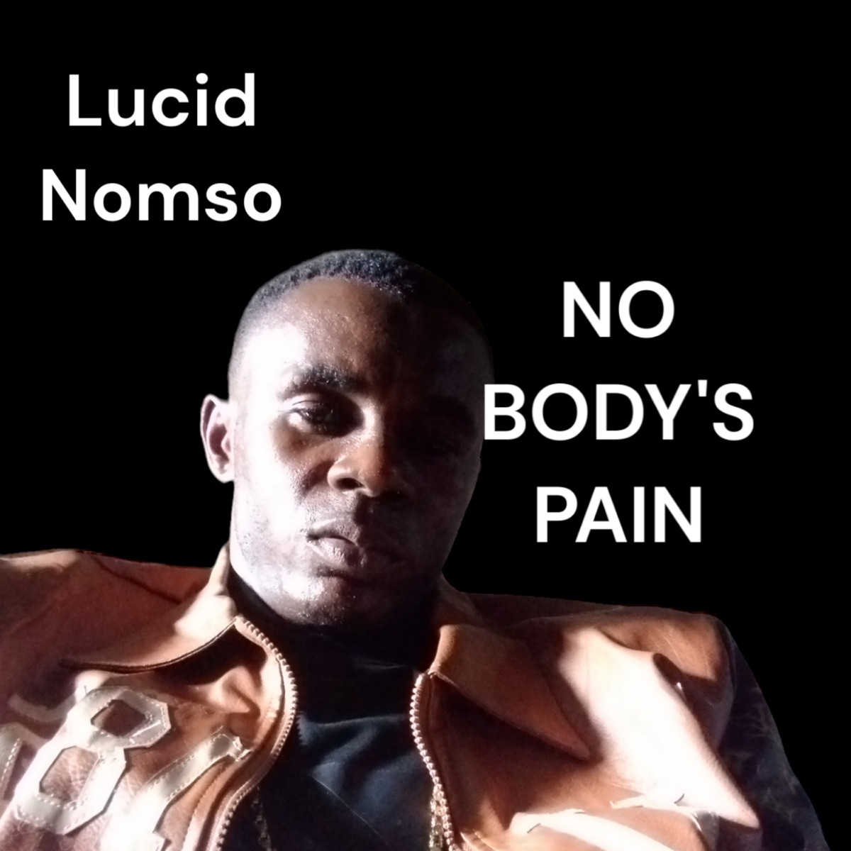 No Body's Pain (feat. Mary J) - Single by Lucid Nomso album cover