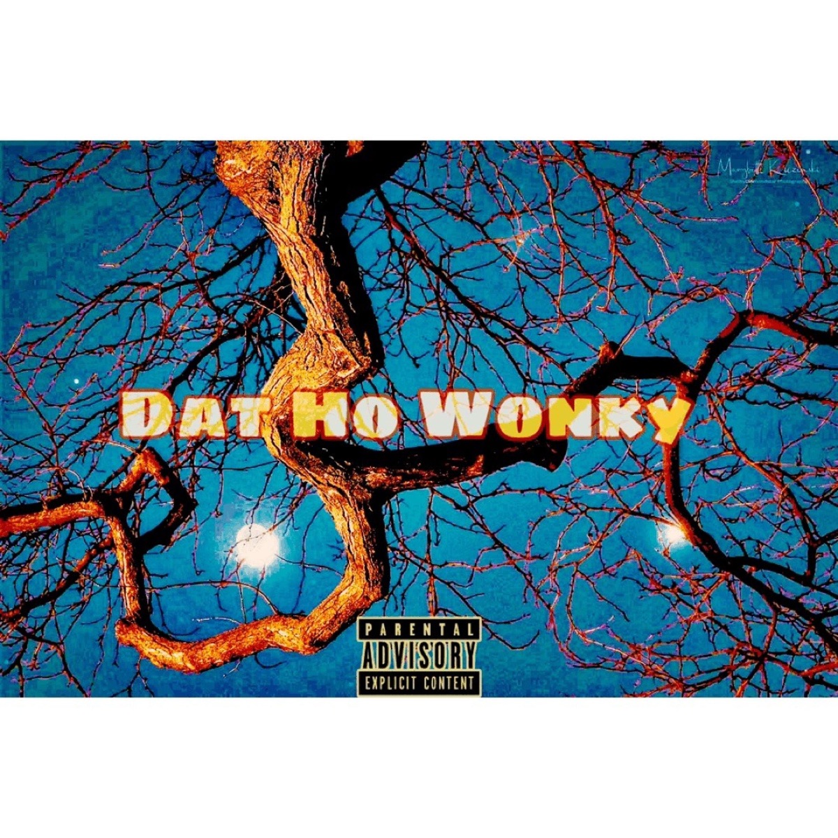 Dat Ho Wonky (feat. PHVNTEM) - Single by Kvng Cupid album cover