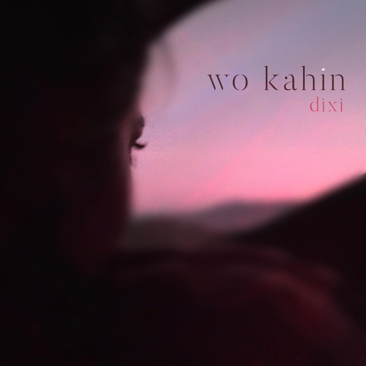 Wo Kahin - Single by Dixi album cover