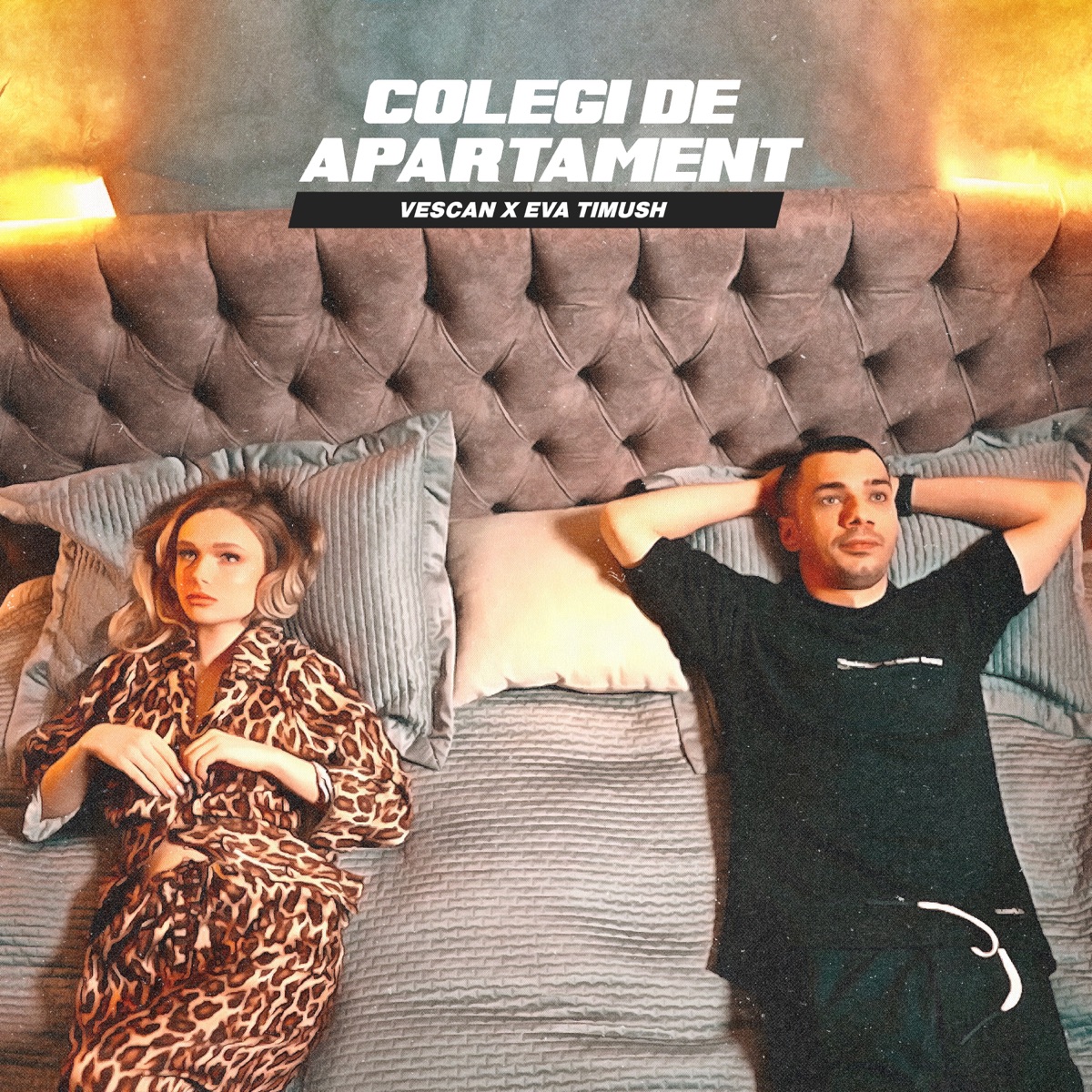 Colegi de apartament - Single by Vescan & Eva Timush album cover