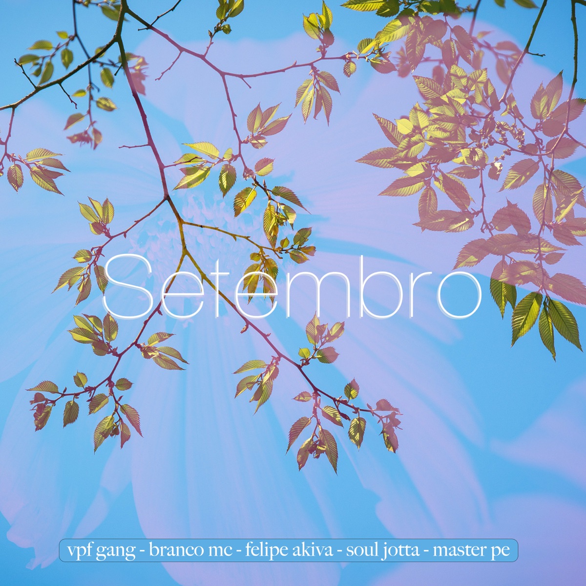 Setembro (feat. Branco MC, Felipe Akiva, Soul Jotta & Master Pe) - Single by VPF Gang album cover