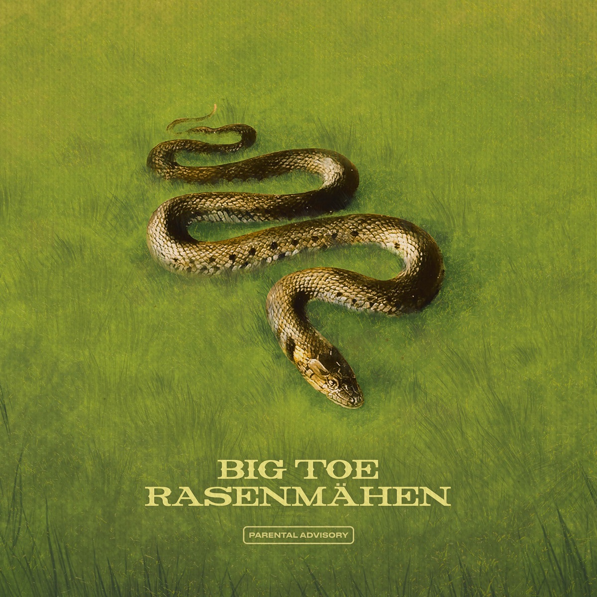 Rasenmähen - Single by Big Toe album cover