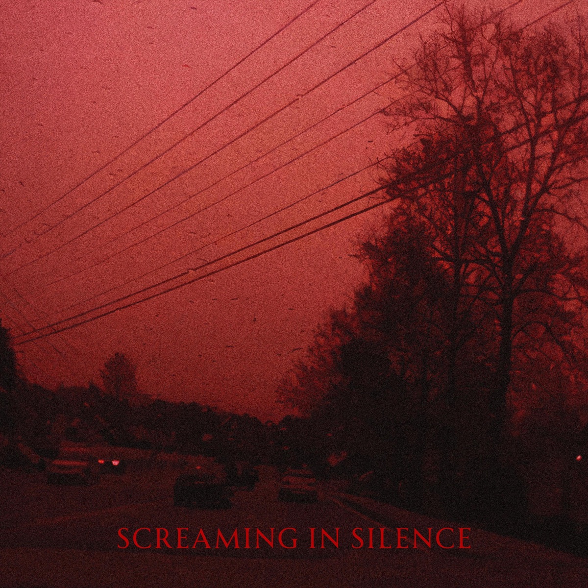 Screaming In Silence - Single by hxrtly & whitenxght album cover