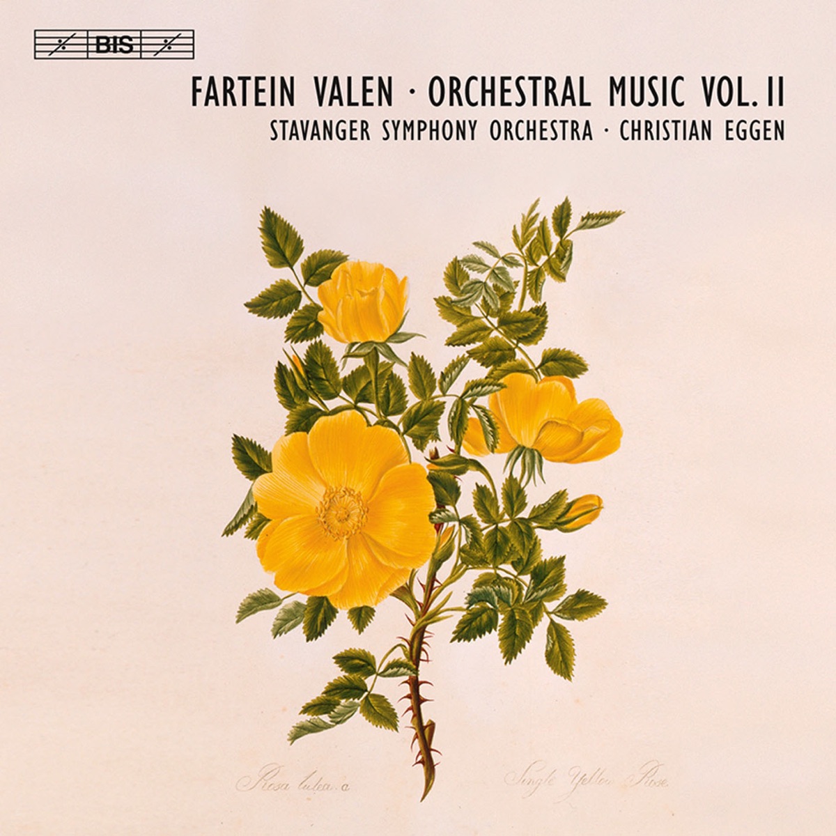 Valen, F.: Orchestral Music, Vol. 2  - Symphonies Nos. 2 and 3 / Epithalamion by Stavanger Symfoniorkester & Christian Eggen album cover