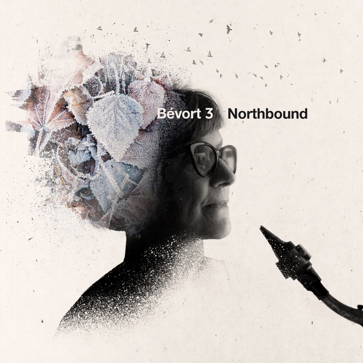 Northbound (feat. Pernille Bévort, Morten Ankarfeldt & Espen Laub von Lillienskjold) by Bévort 3 album cover