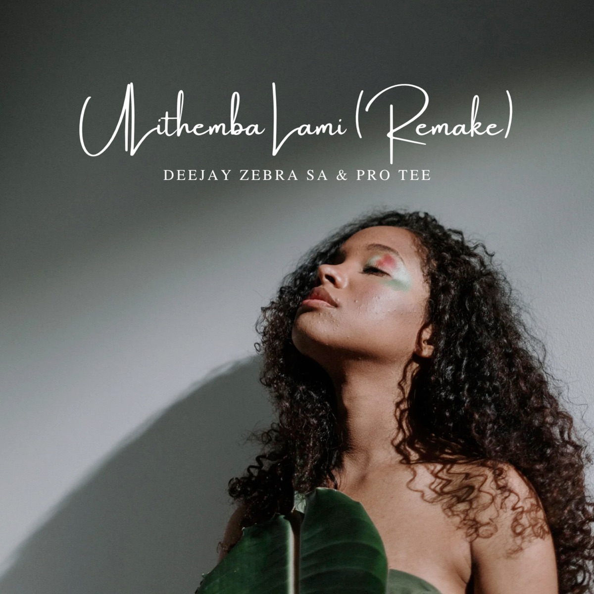 Ulithemba Lami (Remake) - Single by Deejay Zebra SA & Pro Tee album cover