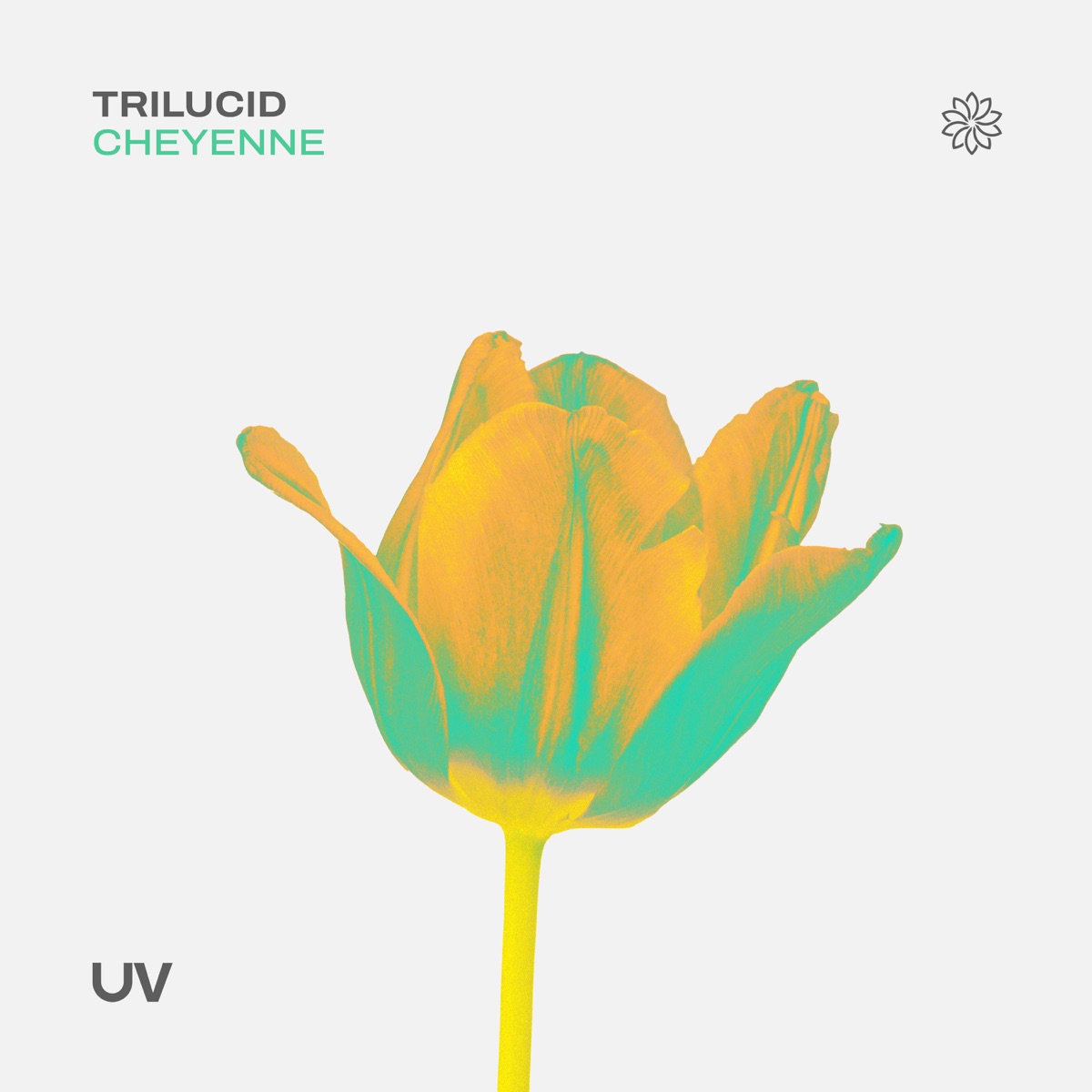 Cheyenne - Single by Trilucid album cover