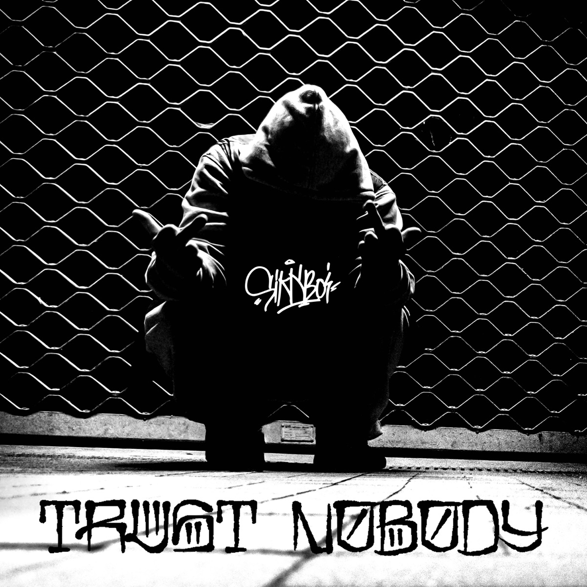 Trust Nobody - Single by Sikk Boi album cover
