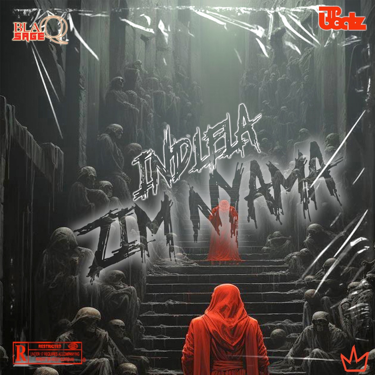 Indlela Zim'nyama - Single by Blaqsage & TP-BEATZ album cover