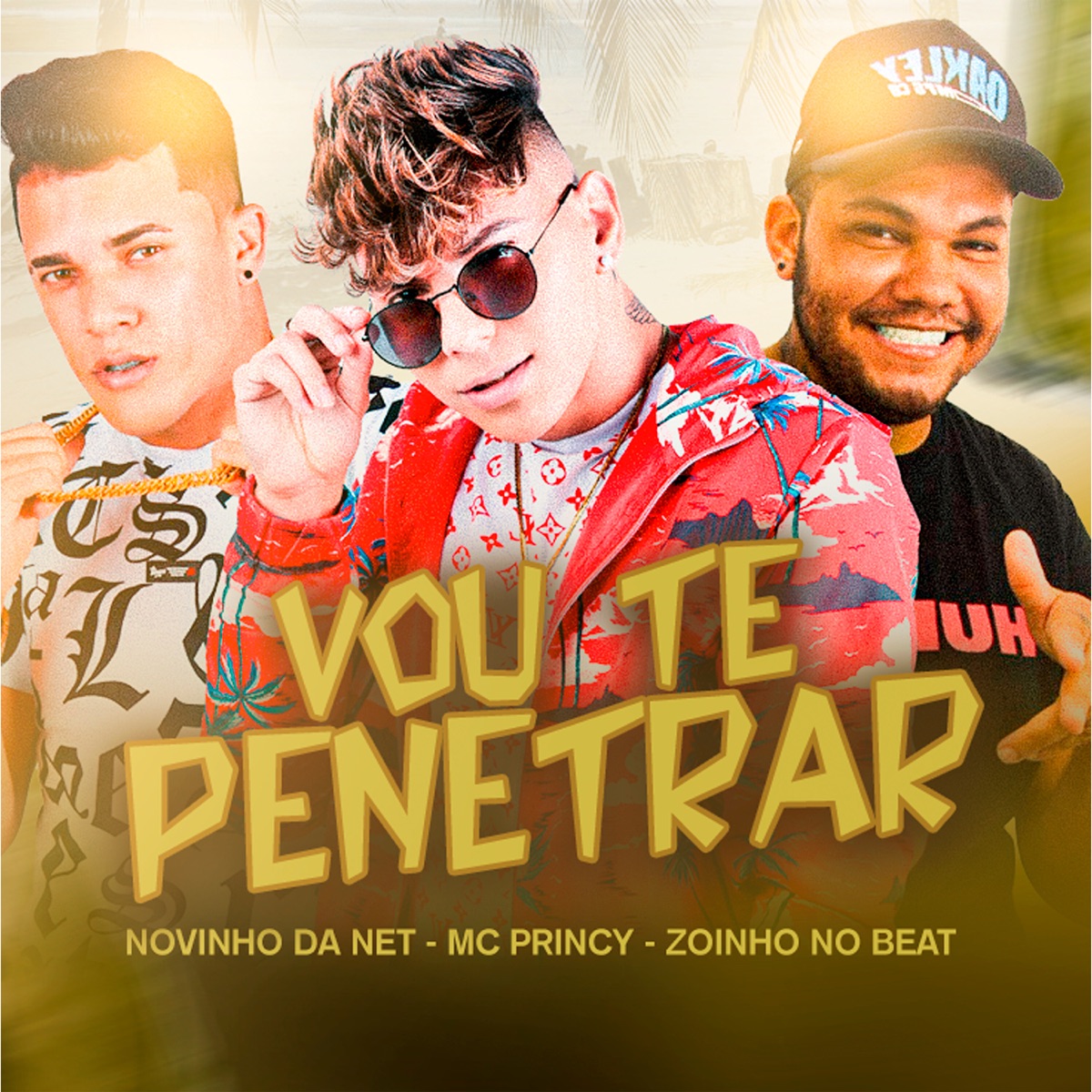 Vou Te Penetrar - Single by Mc Princy, Novinho da Net & Zoinho no Beat album cover