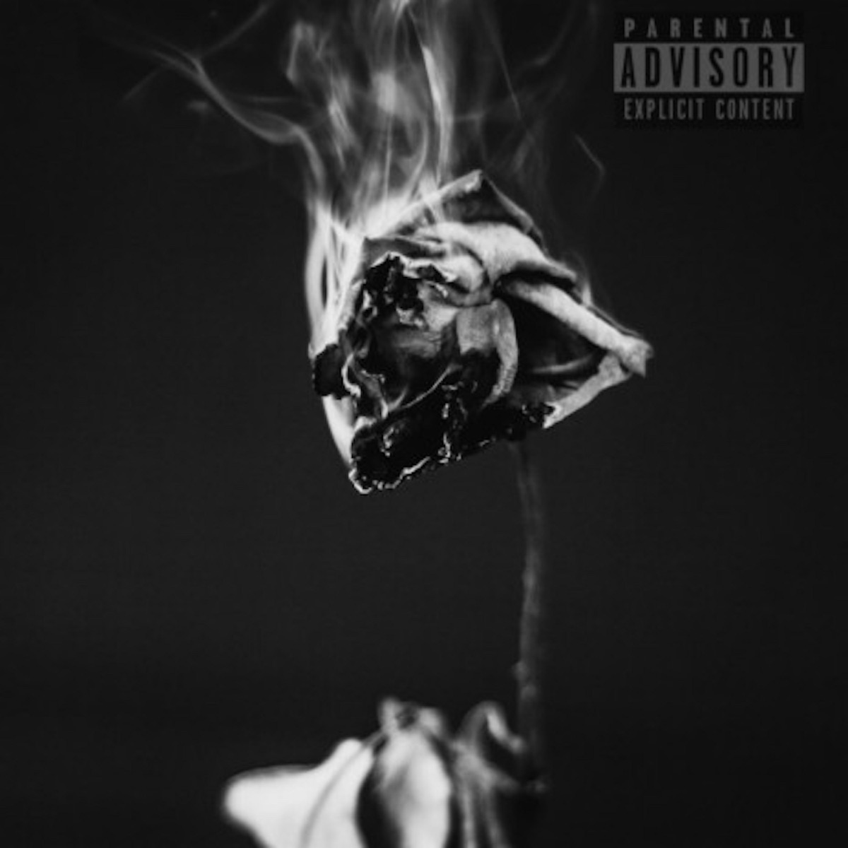 D Rose - Single by Babyfxce E album cover artwork