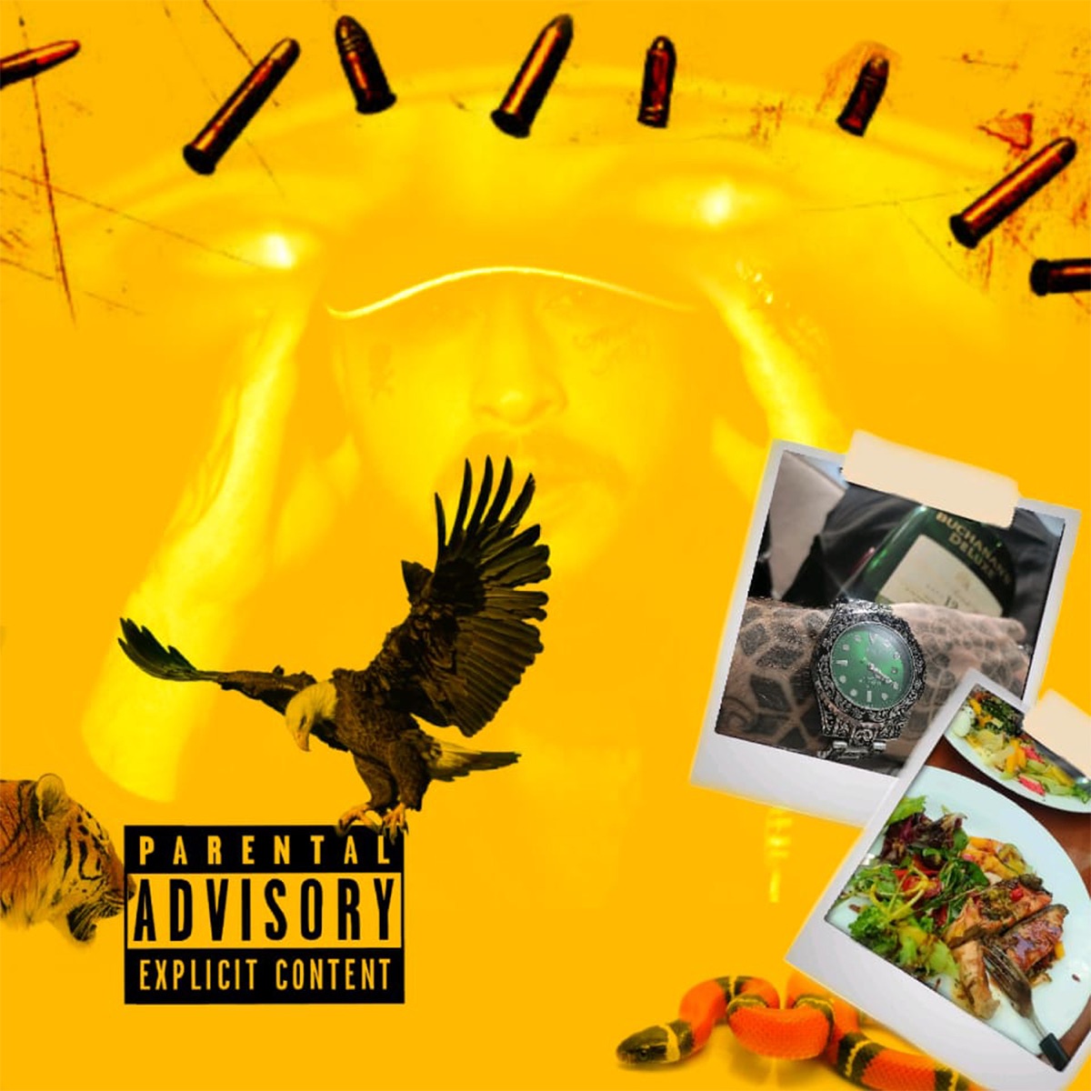 Og Piratta by Piratta album cover
