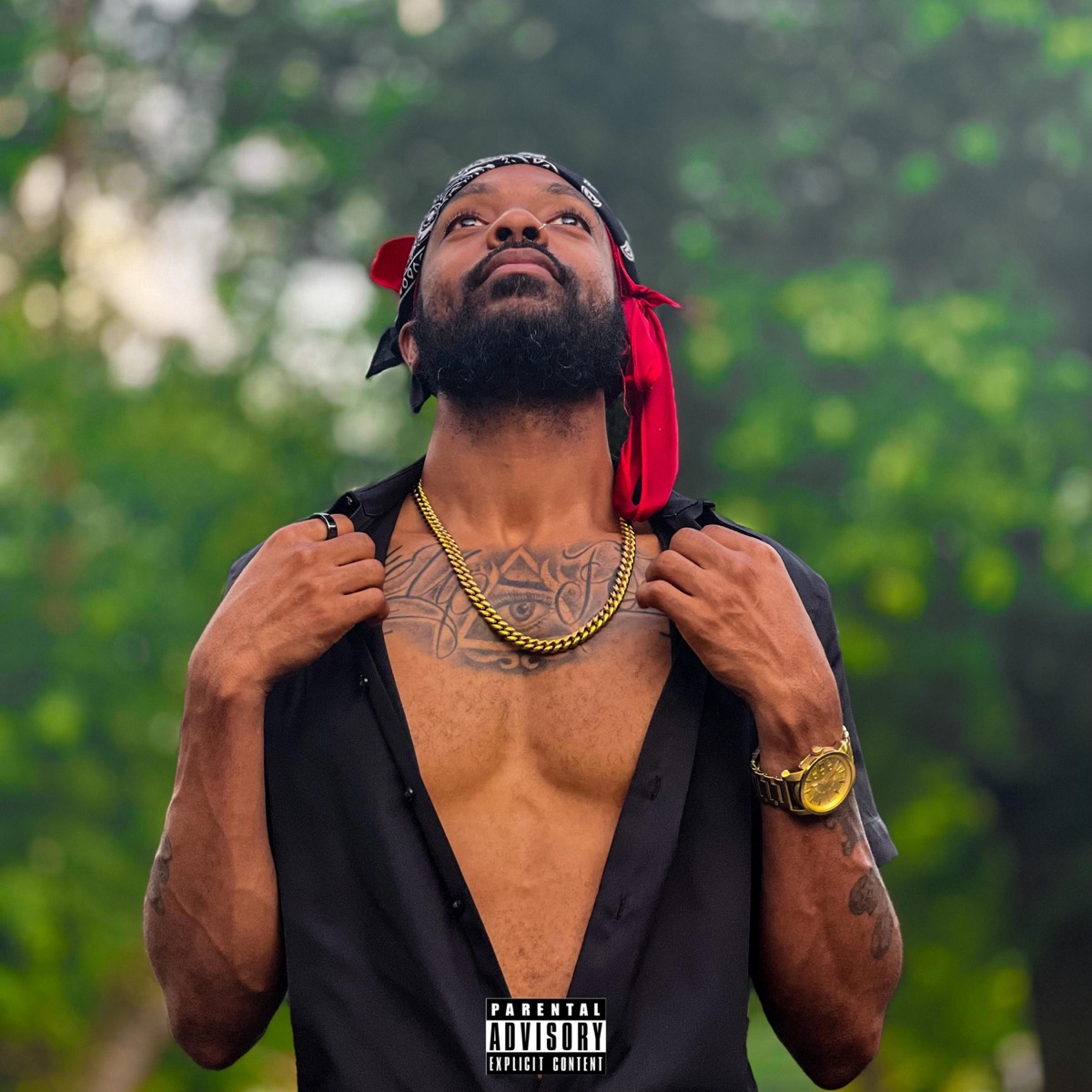 The Abundance is Real by Mello Will album cover