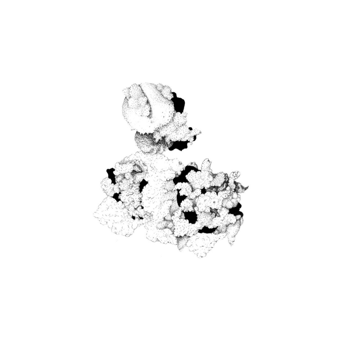 Capacious Aeration by Anna Webber & Matt Mitchell album cover