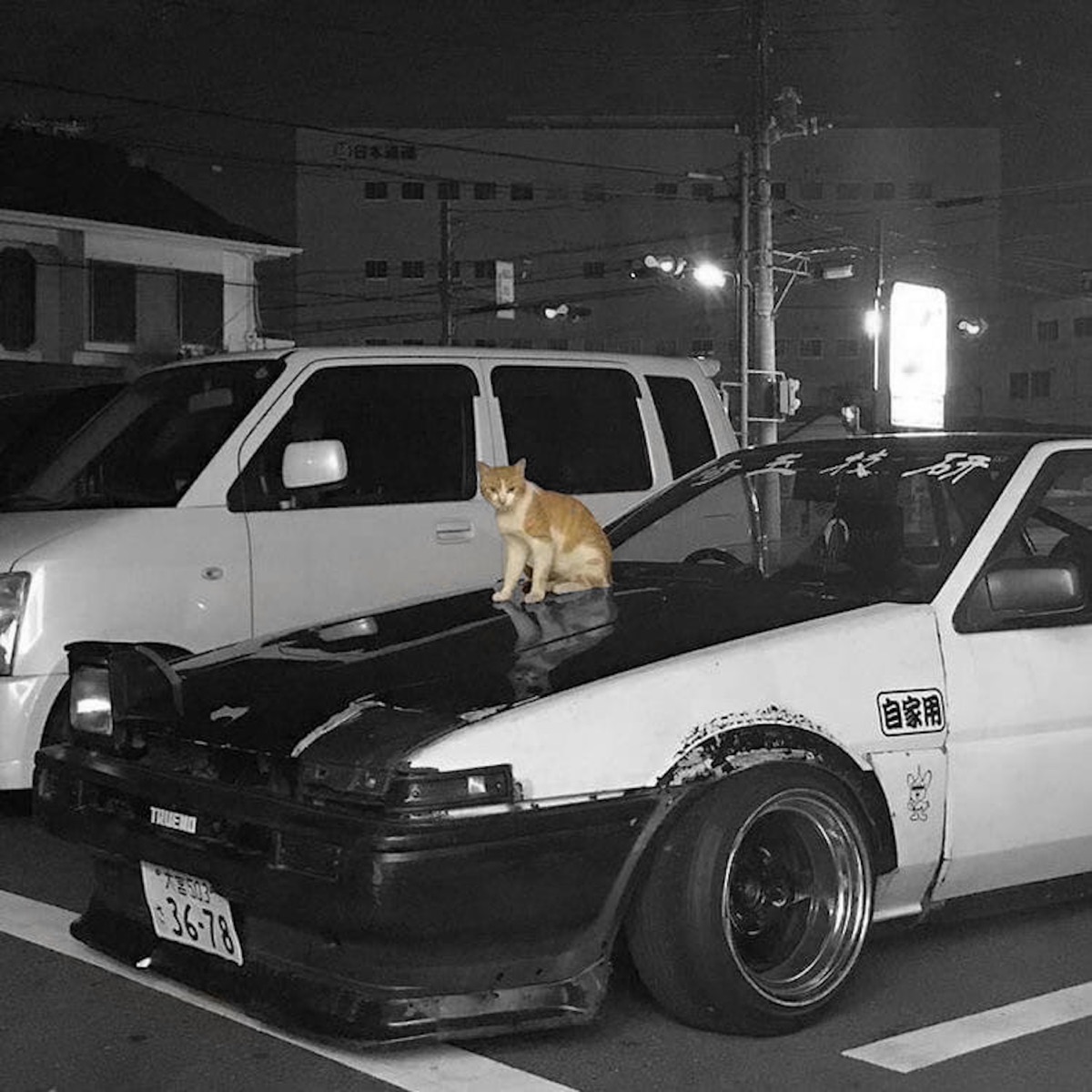 kitty phonk - Single by soviss album cover