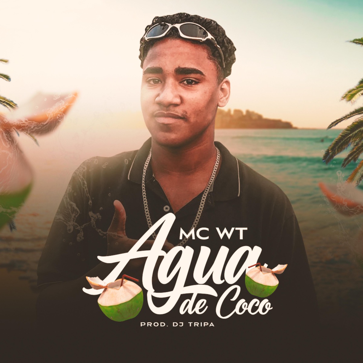 Água De Coco - Single by Dj Tripa & MC WT album cover