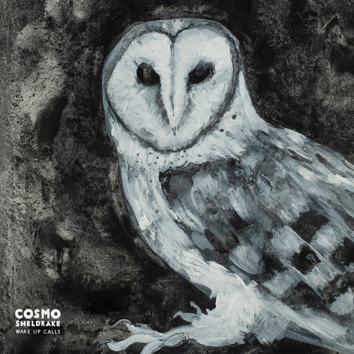 Wake up Calls by Cosmo Sheldrake album cover
