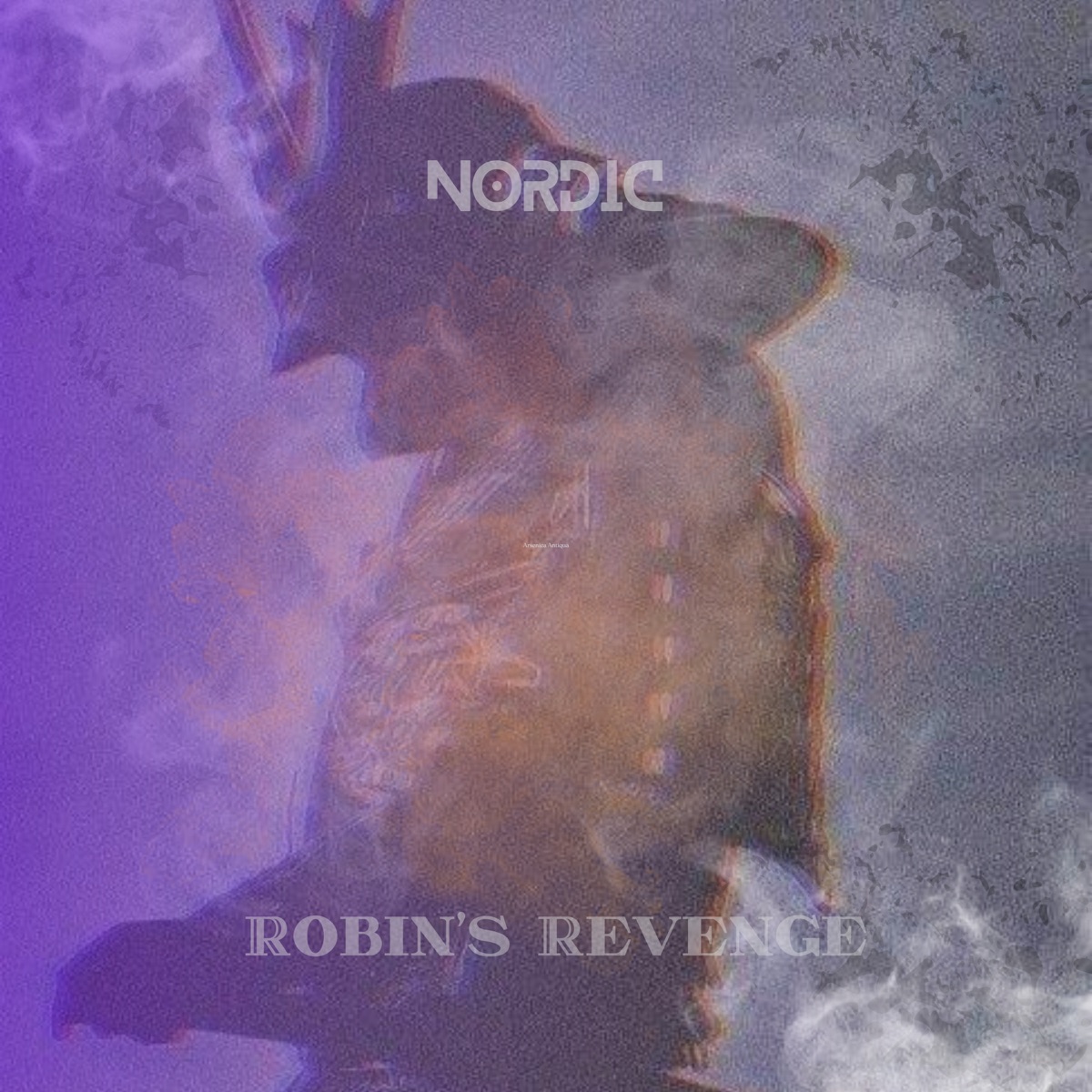 Robin's Revenge (Phonk Version) [Radio Edit] - Single by Nordic album cover