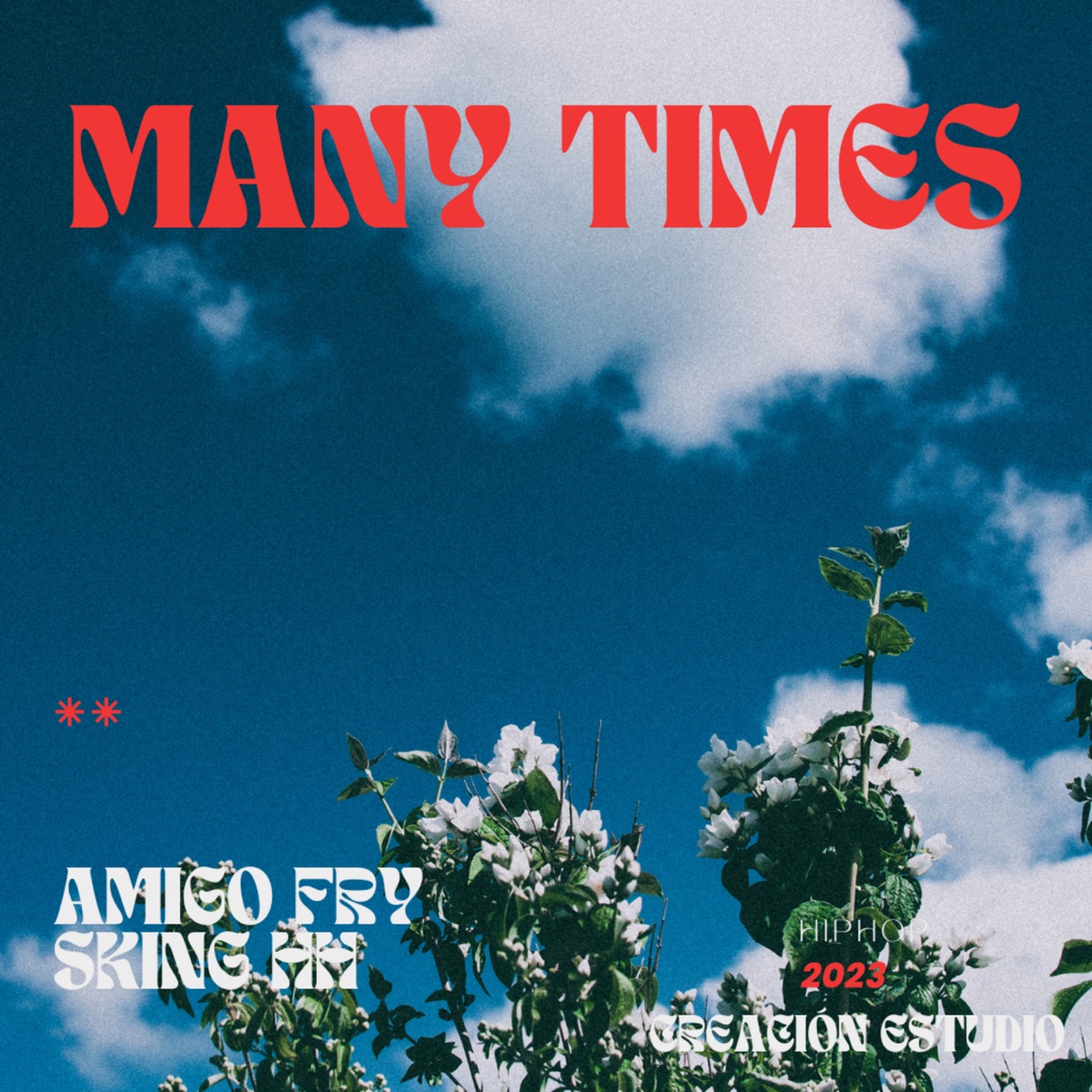 Many Times - Single by Amigo Fry & Sking HH album cover