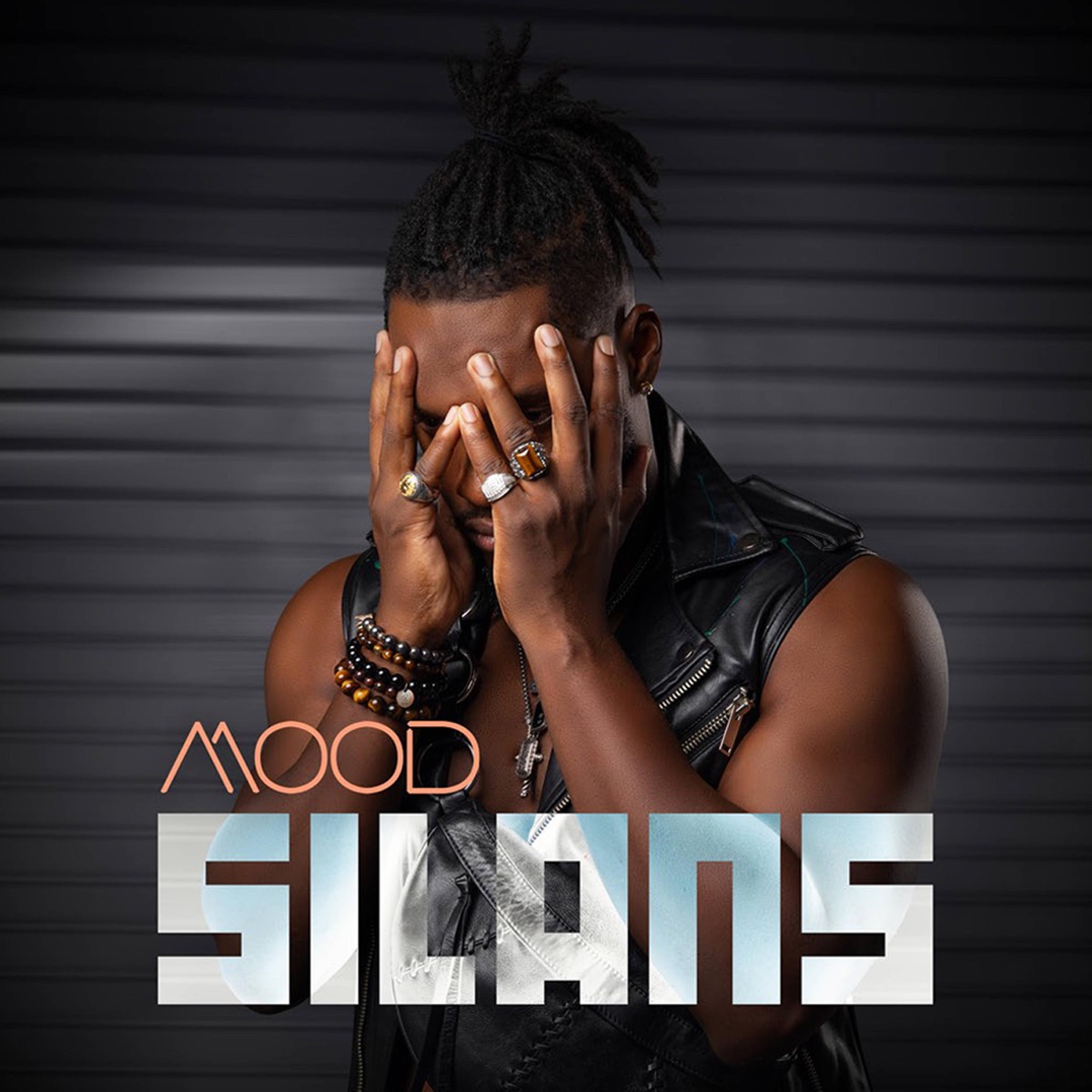 Silans - Single by Mood Band album cover