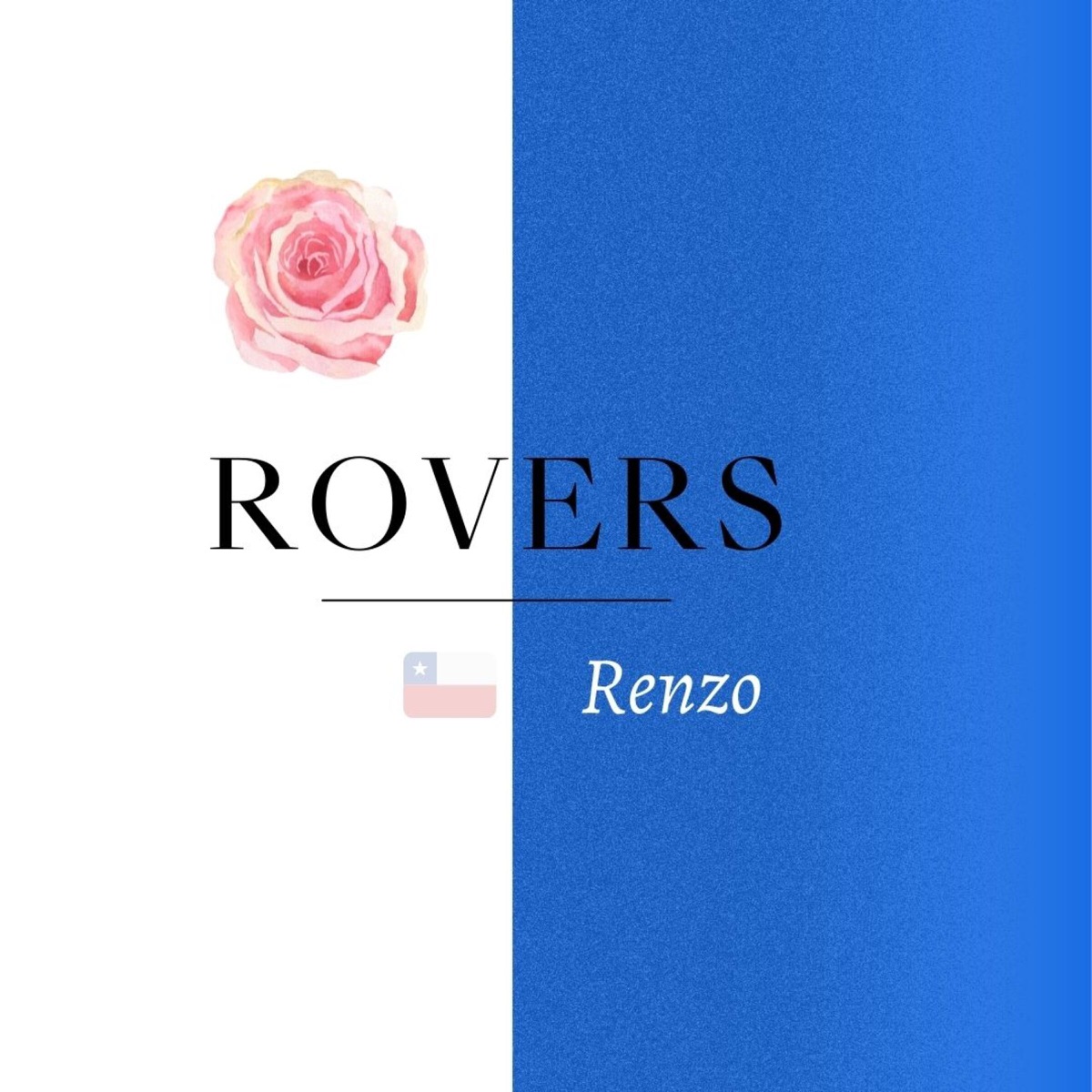 Rovers COYB - Single by Renzo album cover