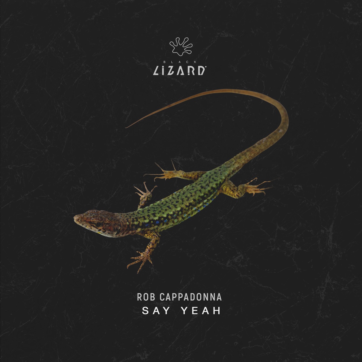 Say Yeah (Radio Edit) - Single by Rob Cappadonna album cover