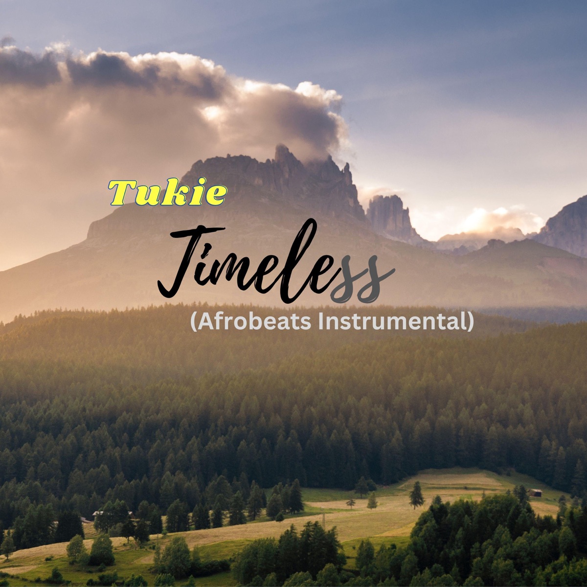 Timeless (Davido X Rema Type Beat (Free Afrobeats Instrumental) - Single by Tukie album cover