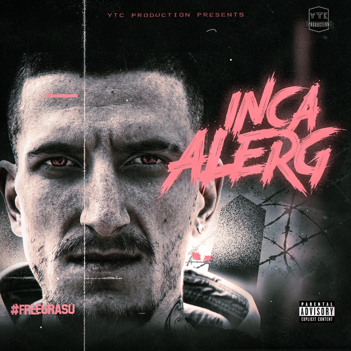 Inca Alerg - EP by HustleKid album cover