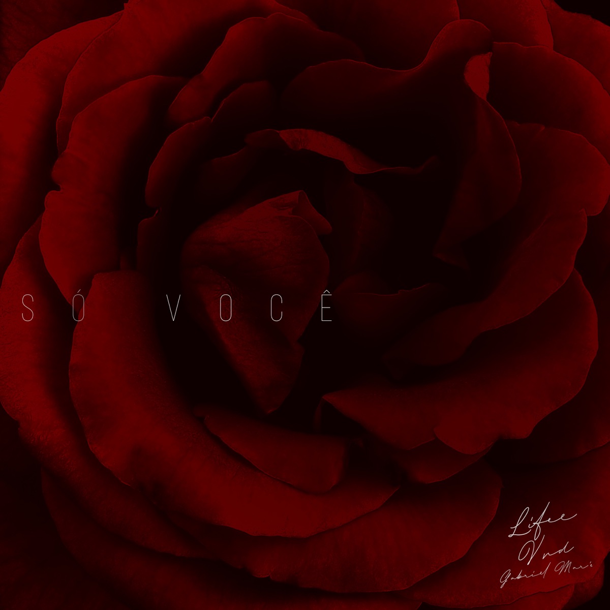Só Você - Single by Lifee, VND & Gabriel Maré album cover