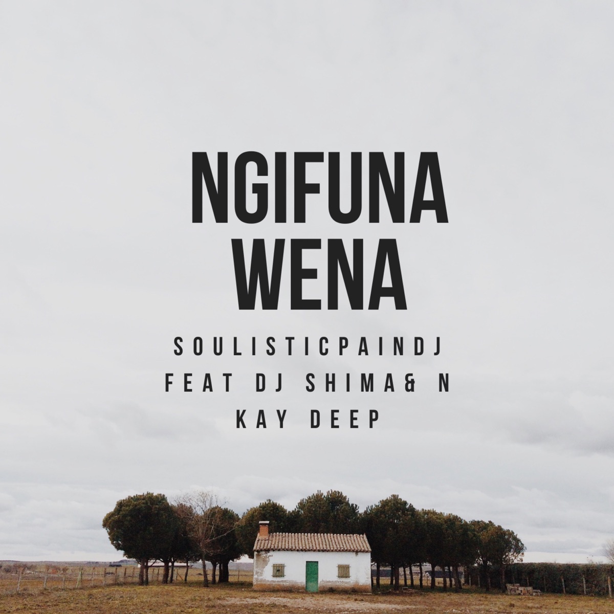 Ngifuna Wena (Extended Version) [feat. N Kay Deep & Dj Shima] - Single by Soulistic PainDj album cover