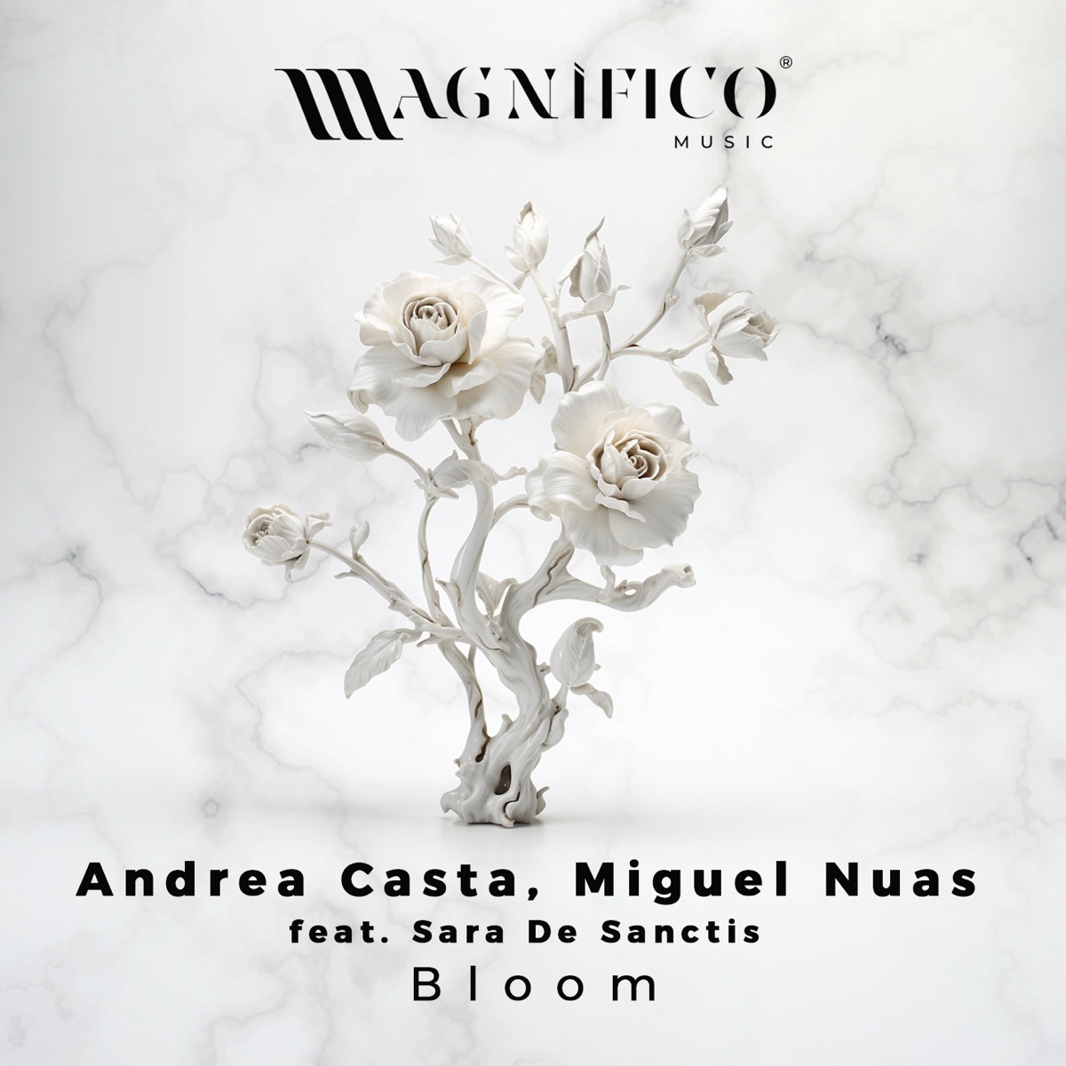 Bloom (feat. Sara De Sanctis) - Single by Andrea Casta & Miguel Nuas album cover