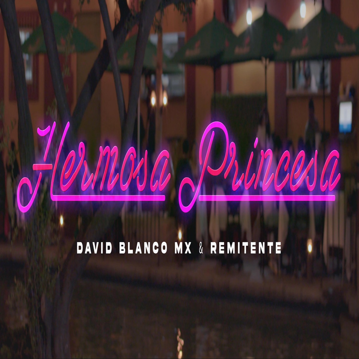 Hermosa Princesa (feat. Remitente Mx) - Single by David Blanco Mx album cover