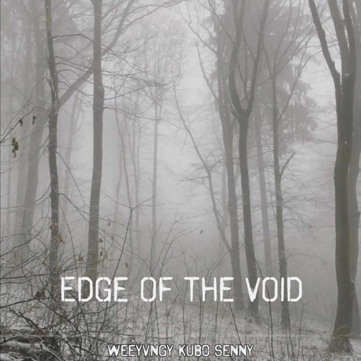 Edge of the Void (feat. senny & Kub0) - Single by WEEYVNGY album cover