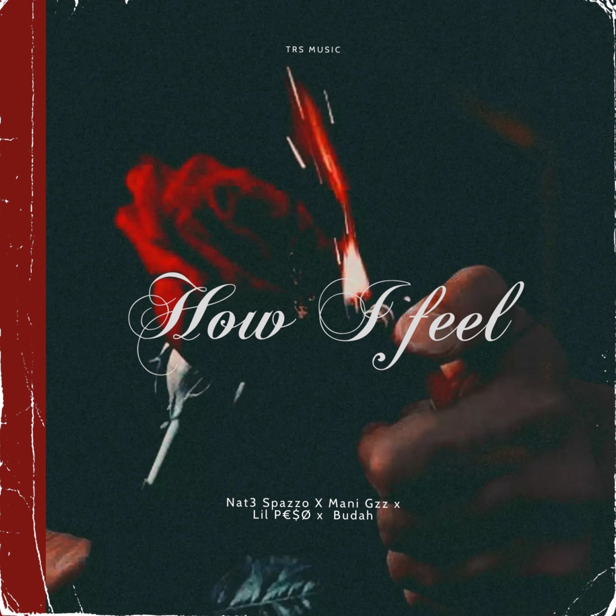 How I Feel - Single (feat. Mani Gzz, Lil P€$Ø & Budah) - Single by Nat3 Spazzo album cover