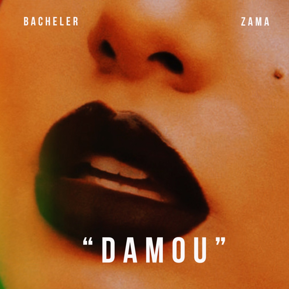 Damou - Single (feat. ZAMA) - Single by Bacheler album cover