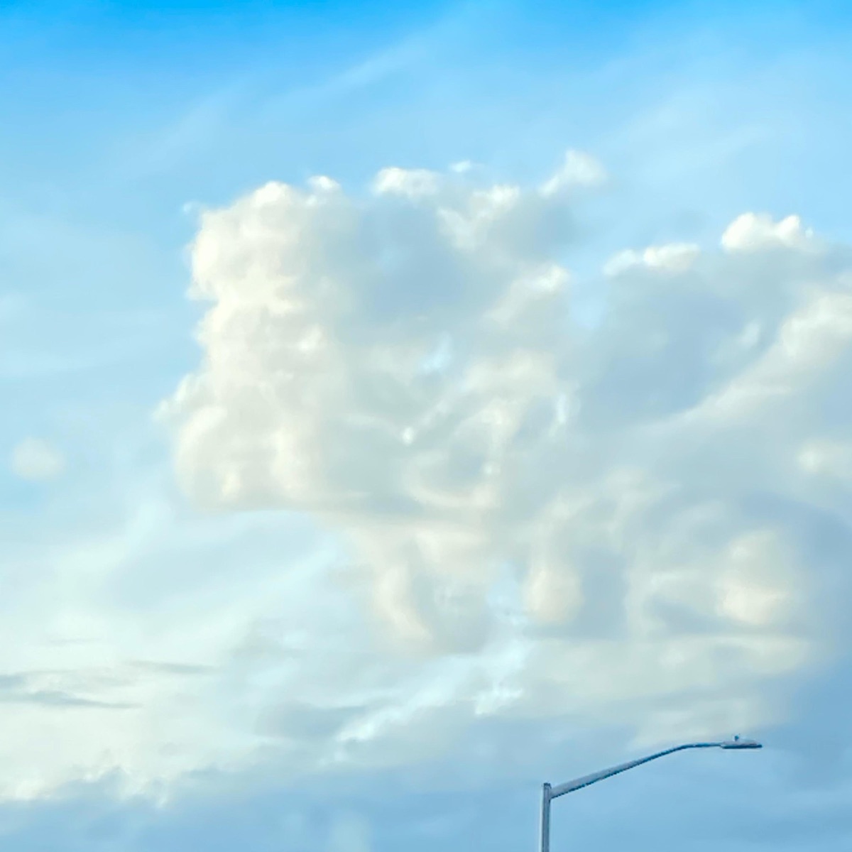 Into the Clouds by Northwest NELZ album cover