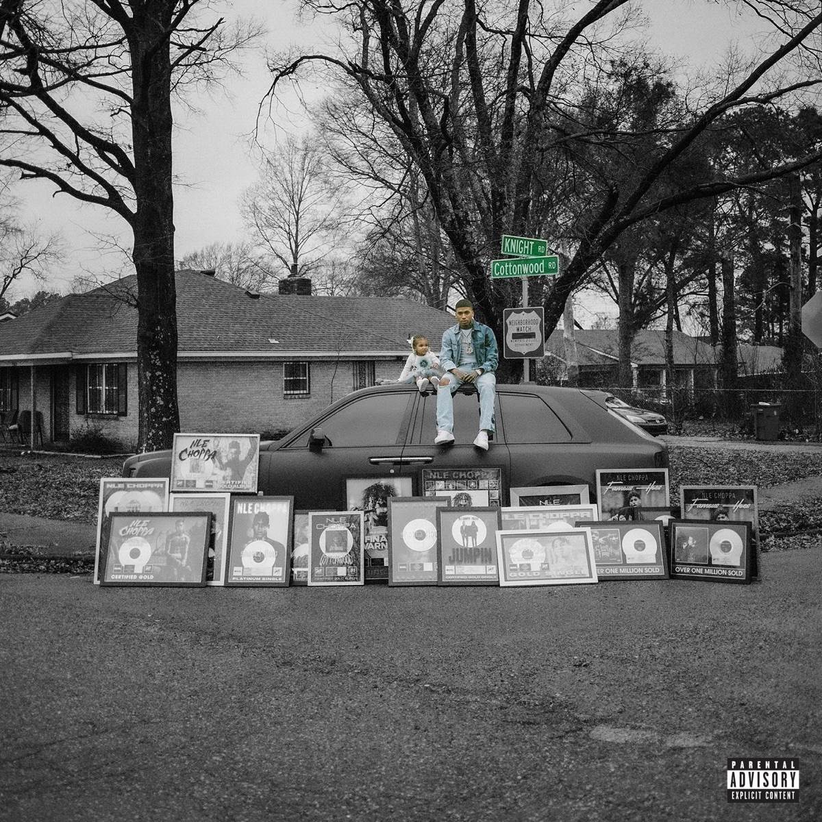 Cottonwood 2 by NLE Choppa album cover