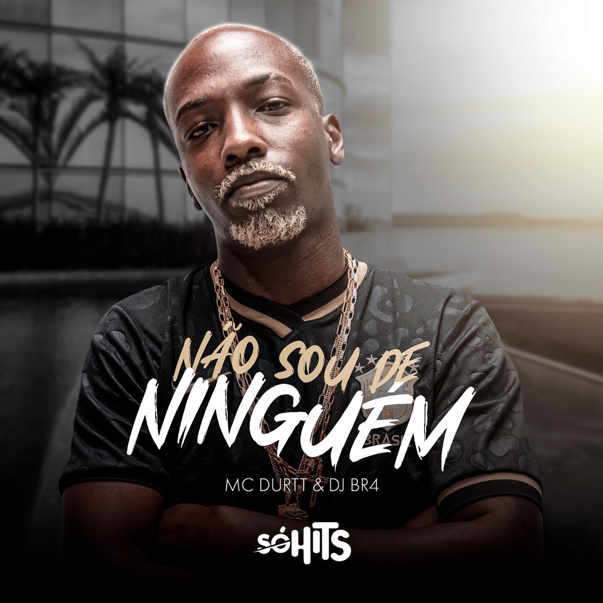Não Sou de Ninguém - Single by Mc Durtt & DJ BR4 album cover