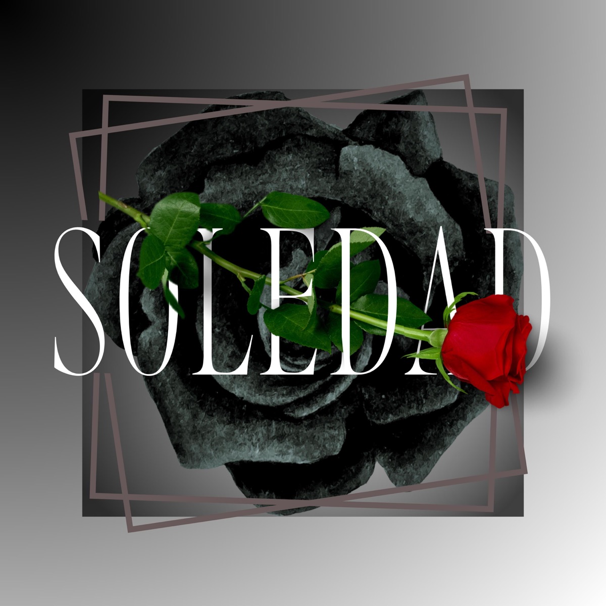 SOLEDAD - Single by Billy Javy album cover